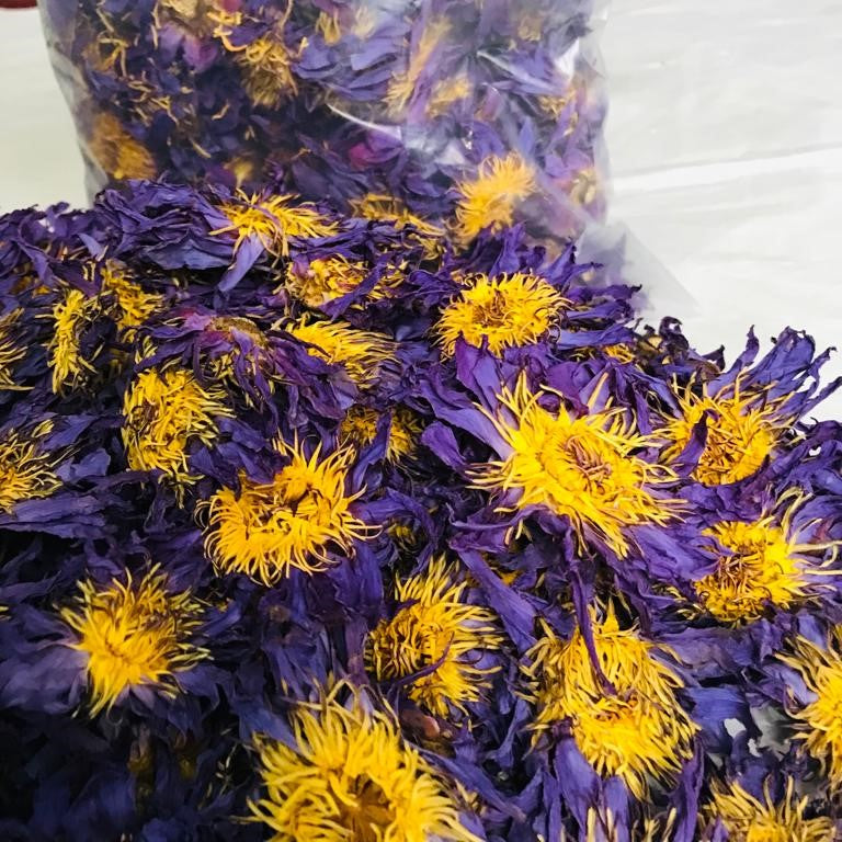 5kg+ Dried BLUE LOTUS Nymphaea Caerulea Organic Flowers Tea | Ceylon Herbs