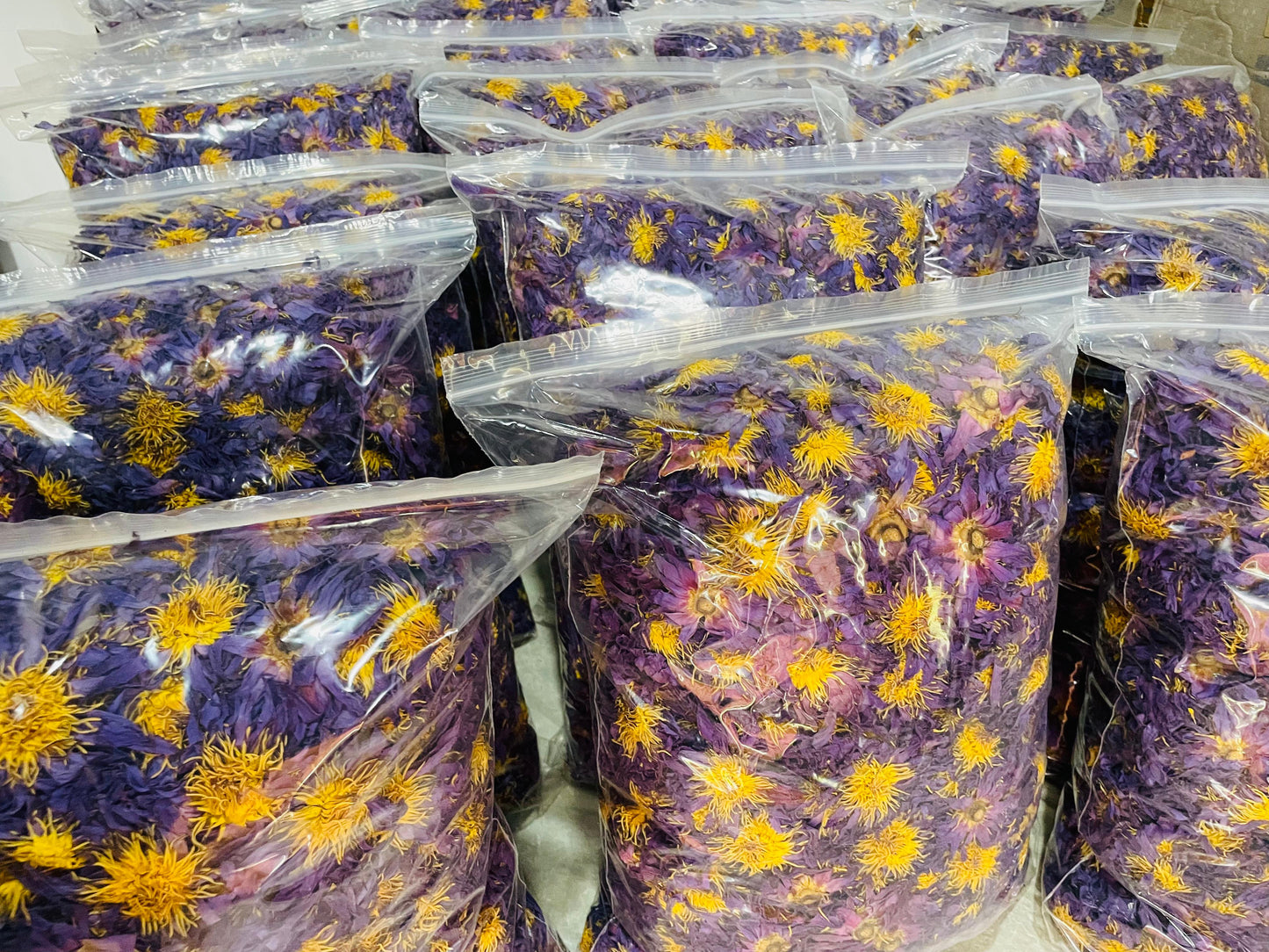 Dried Blue Lotus 1kg Flowers Organic Healthy Tea | Ceylon Herbs