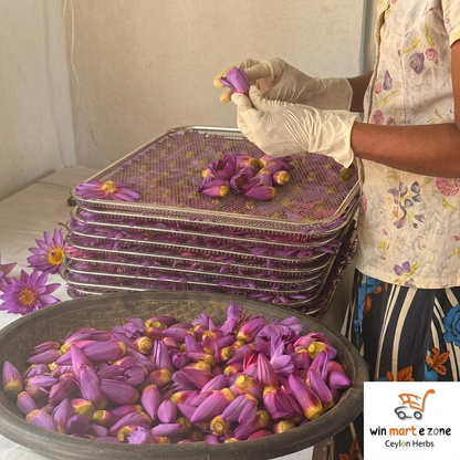 5kg+ Dried BLUE LOTUS Nymphaea Caerulea Organic Flowers Tea | Ceylon Herbs