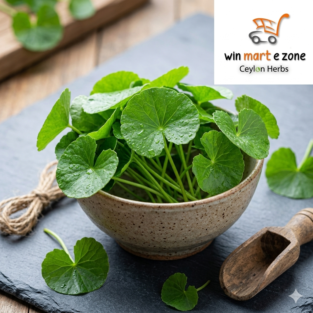 Fresh organic Gotu Kola leaves in a ceramic bowl, premium Ceylon Herbs by Win Mart E Zone for natural wellness