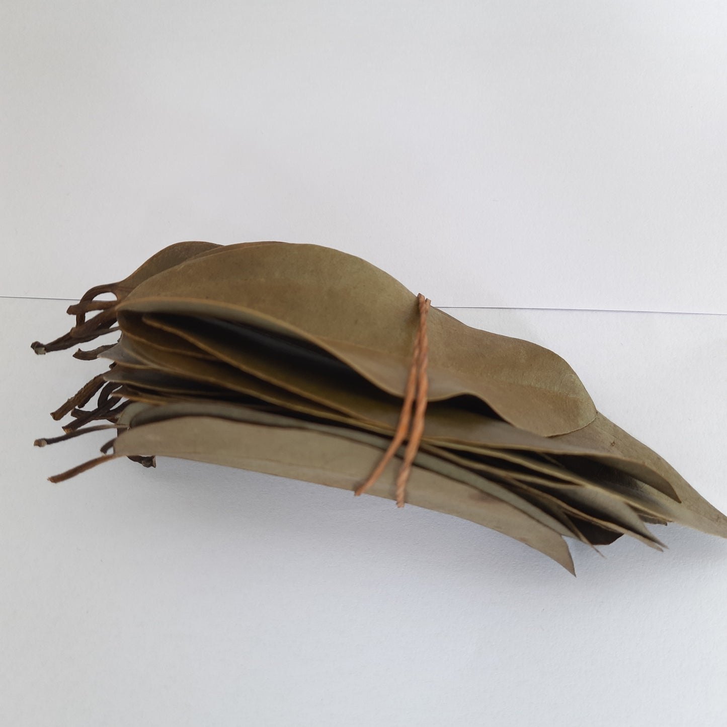 Dried Cinnamon Leaves 100% Organic Natural Leaf | Ceylon Herbs