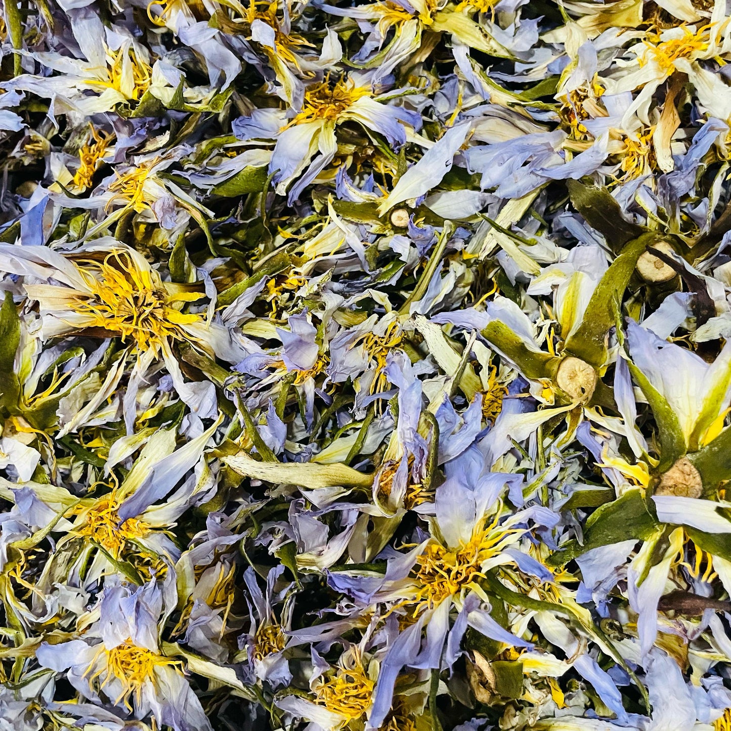 Dried Egyptian BLUE LOTUS Nymphaea Caerulea Organic Flowers Tea | Ceylon Herbs
