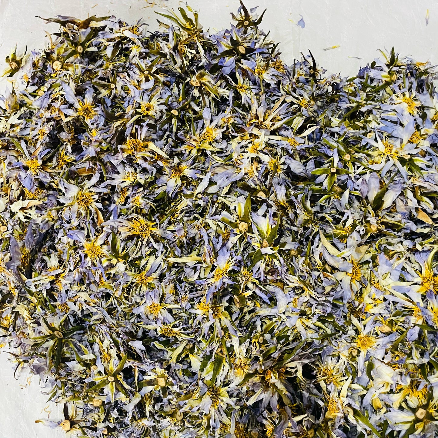 Dried Egyptian BLUE LOTUS Nymphaea Caerulea Organic Flowers Tea | Ceylon Herbs