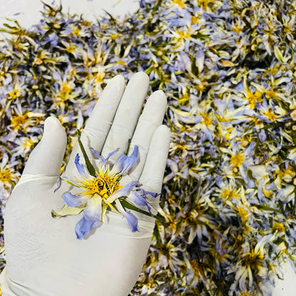 Dried Egyptian BLUE LOTUS Nymphaea Caerulea Organic Flowers Tea | Ceylon Herbs