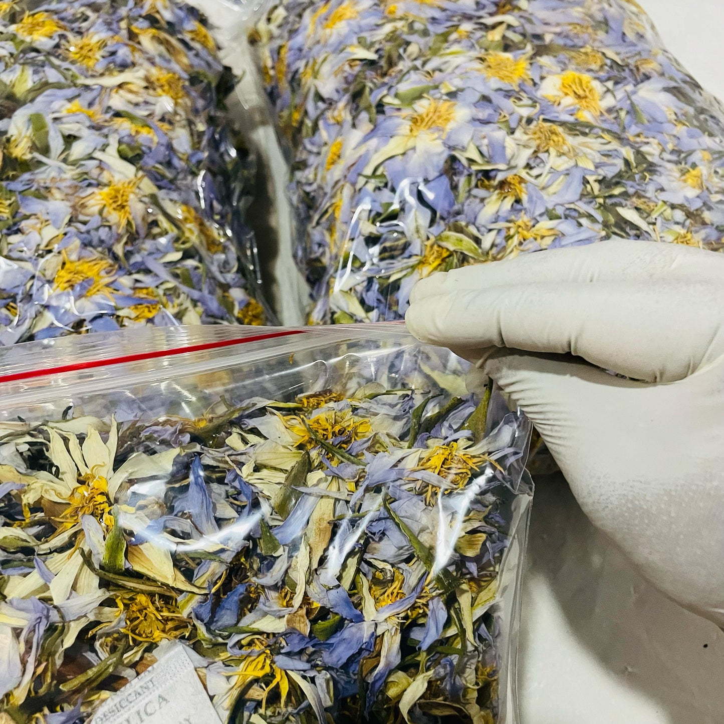 Dried Egyptian BLUE LOTUS Nymphaea Caerulea Organic Flowers Tea | Ceylon Herbs