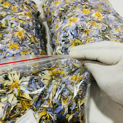 Dried Egyptian BLUE LOTUS Nymphaea Caerulea Organic Flowers Tea | Ceylon Herbs