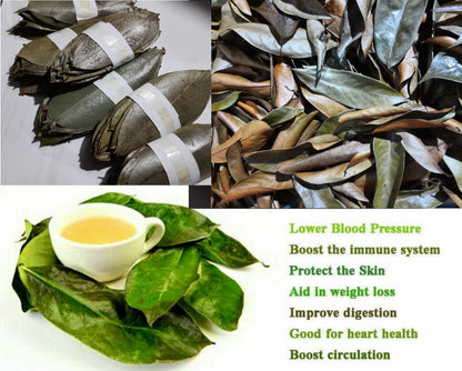 Dried Soursop Leaves 100% Organic Hojas De Guanabana Graviola Anona Leaf | Ceylon Herbs