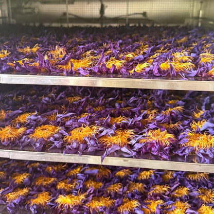 Dehydrated blue lotus