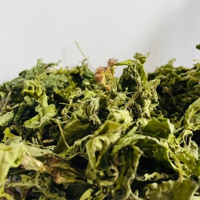 Premium Dried Calea Zacatechichi - 100% Organic Mexican Dream Herb Botanical | Ceylon Herbs