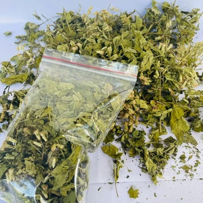 Premium Dried Calea Zacatechichi - 100% Organic Mexican Dream Herb Botanical | Ceylon Herbs
