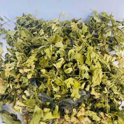 Premium Dried Calea Zacatechichi - 100% Organic Mexican Dream Herb Botanical | Ceylon Herbs
