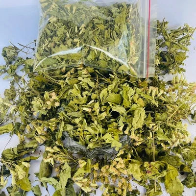 Premium Dried Calea Zacatechichi - 100% Organic Mexican Dream Herb Botanical | Ceylon Herbs