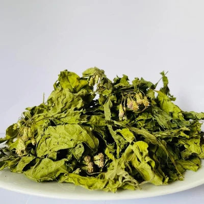 Premium Dried Calea Zacatechichi - 100% Organic Mexican Dream Herb Botanical | Ceylon Herbs