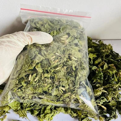 Premium Dried Calea Zacatechichi - 100% Organic Mexican Dream Herb Botanical | Ceylon Herbs