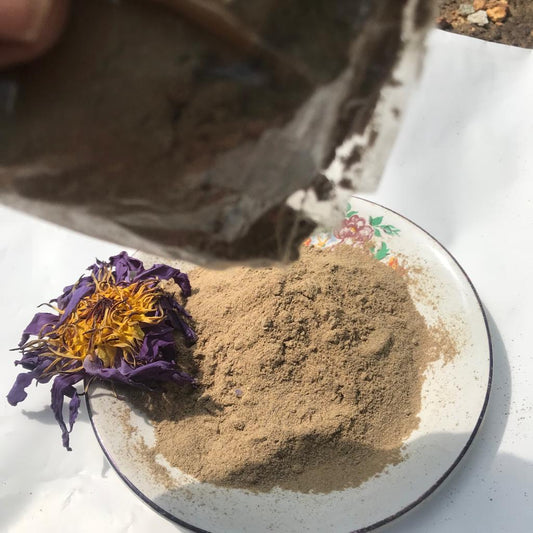 Dried Blue Lotus Powder Nymphaea caerulea Premium Quality | Ceylon Herbs