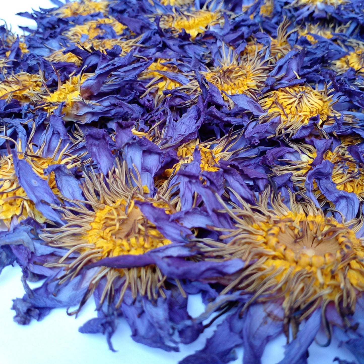 Dried Blue Lotus 1kg Flowers Organic Healthy Tea | Ceylon Herbs
