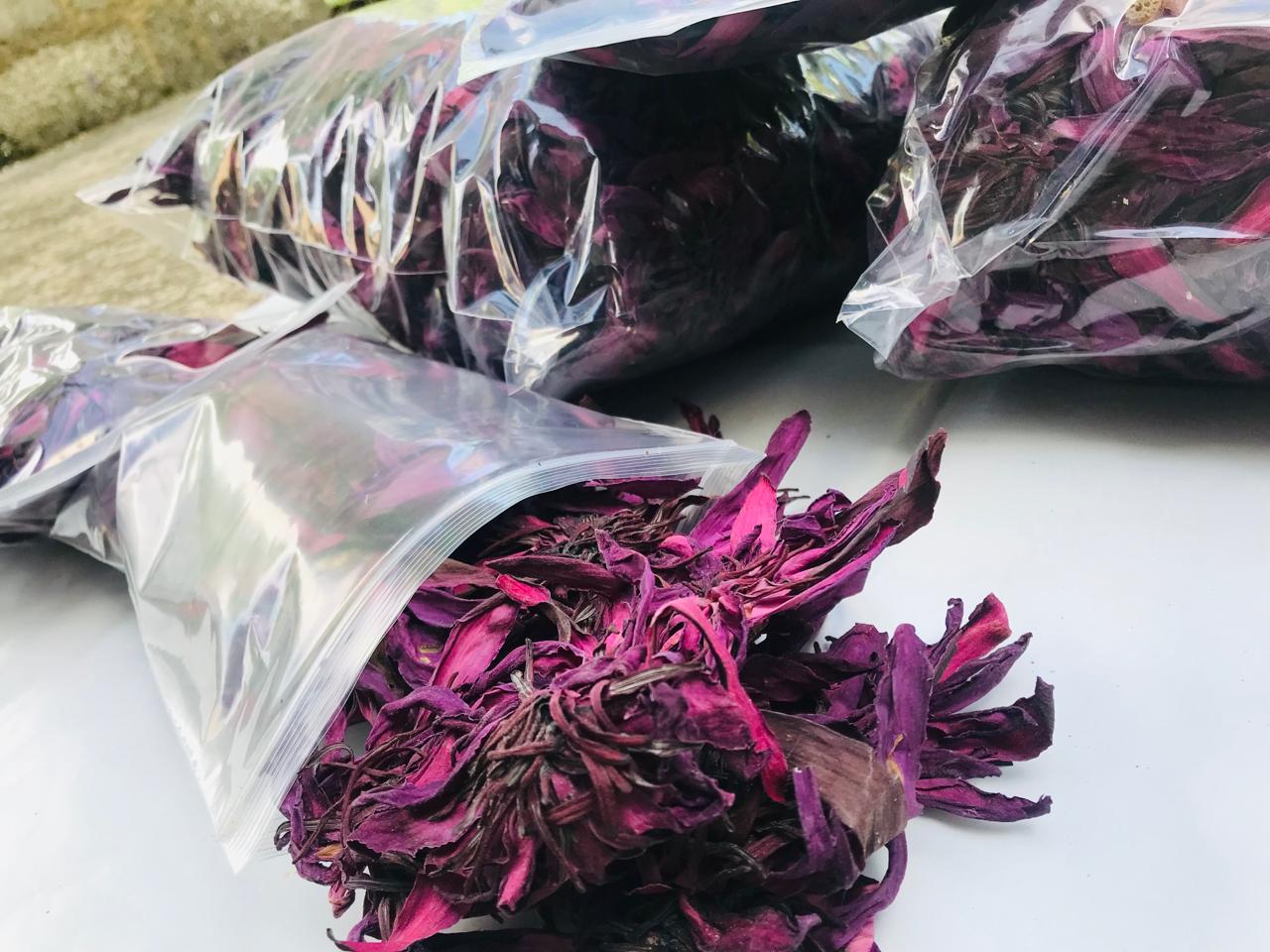 Dried Red Lotus 100% Hand Picked Organic Tea | Ceylon Herbs