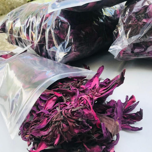 Premium Dried Red Lotus Flowers - 100% Organic Hand-Picked Nymphaea Rubra for Tea | Ceylon Herbs