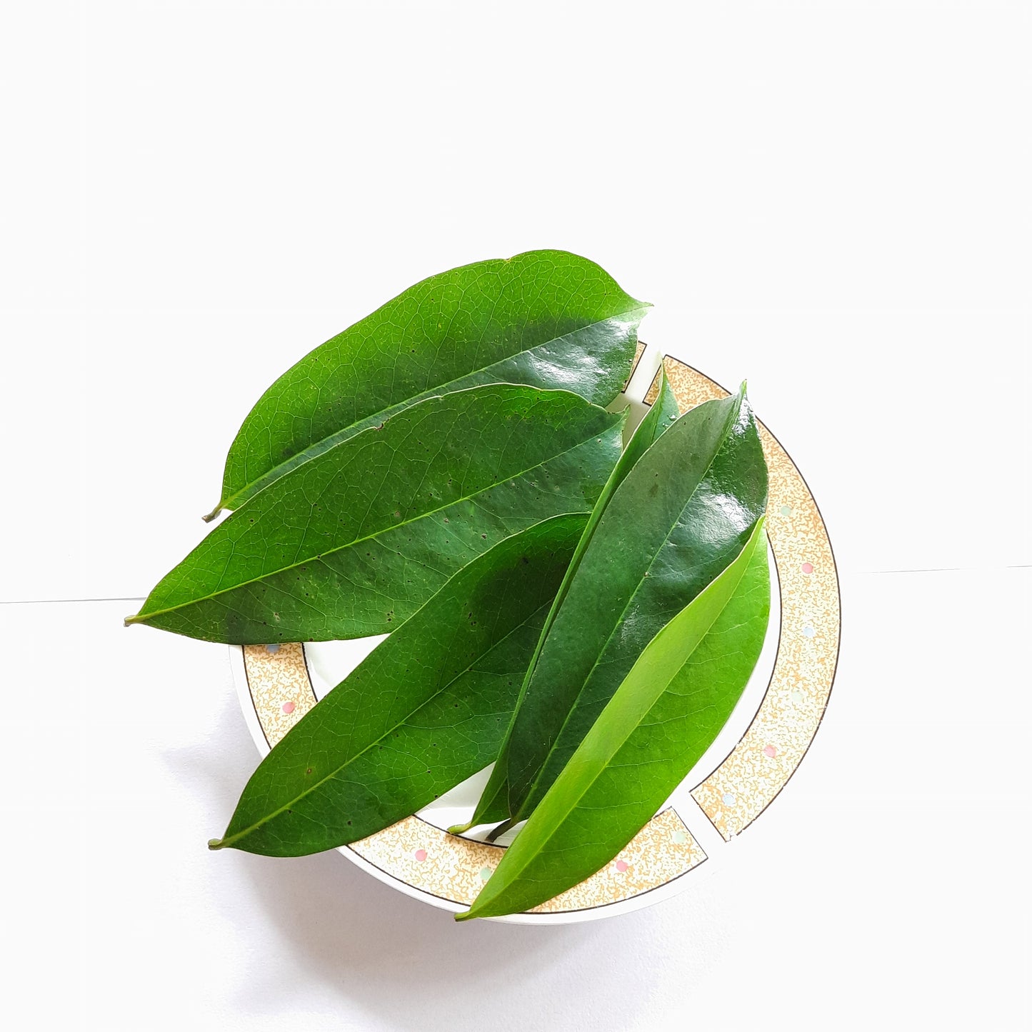Dried Soursop Leaves 100% Organic Hojas De Guanabana Graviola Anona Leaf | Ceylon Herbs