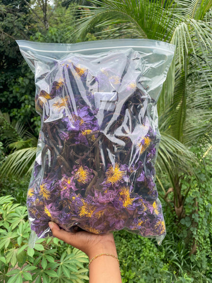 Dried Blue Lotus Flowers With Steams Good Quality Nymphaea Caerulea Herbal Tea| Ceylon Herbs