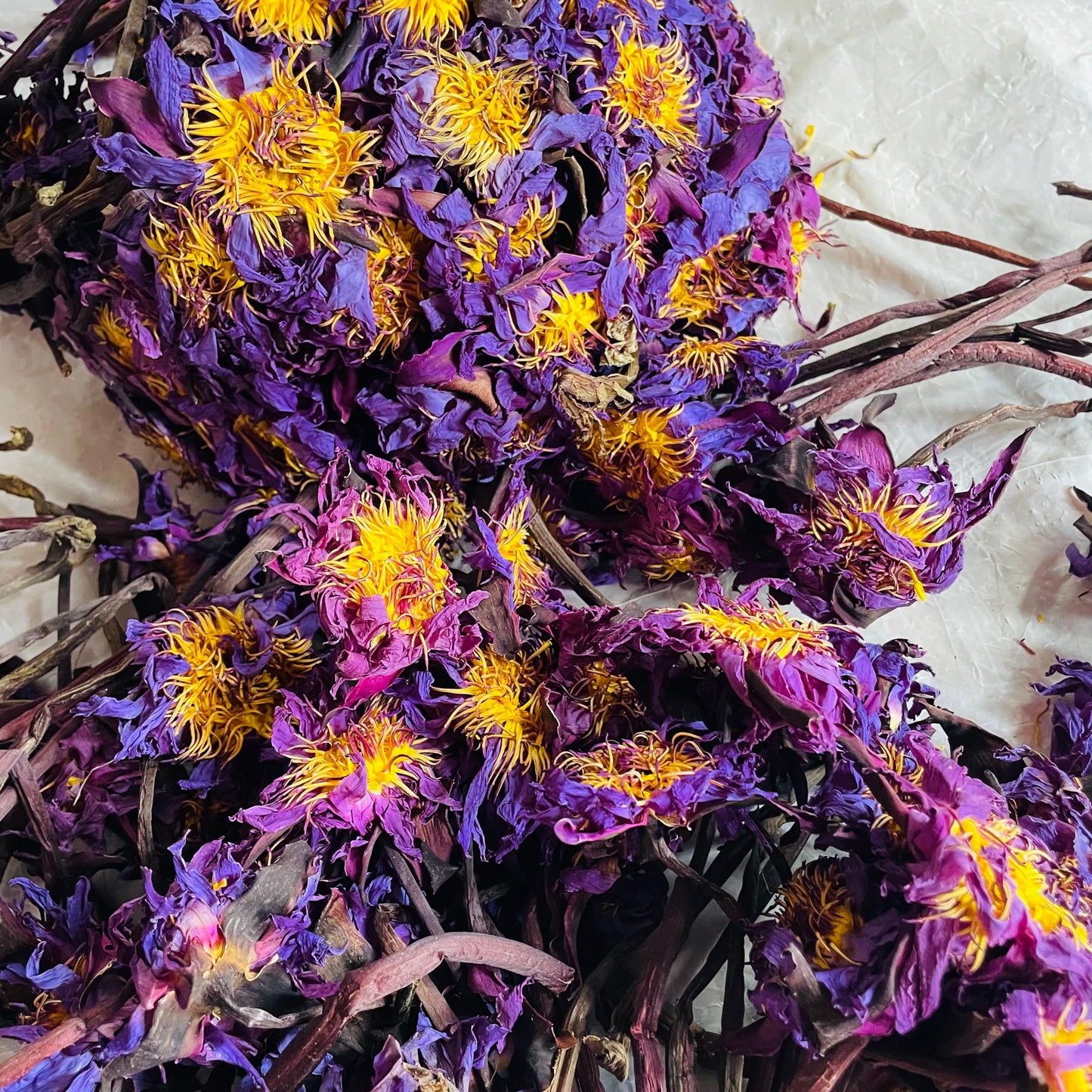 Dried Blue Lotus Flowers With Steams Good Quality Nymphaea Caerulea Herbal Tea| Ceylon Herbs