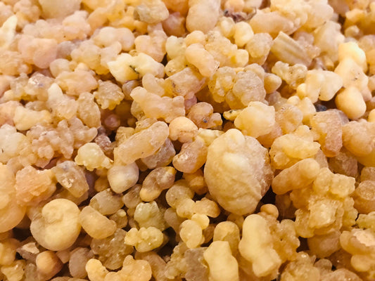 Frankincense Resin (Boswellia serrata) Wildharvested 100% High Quality | Ceylon Herbs