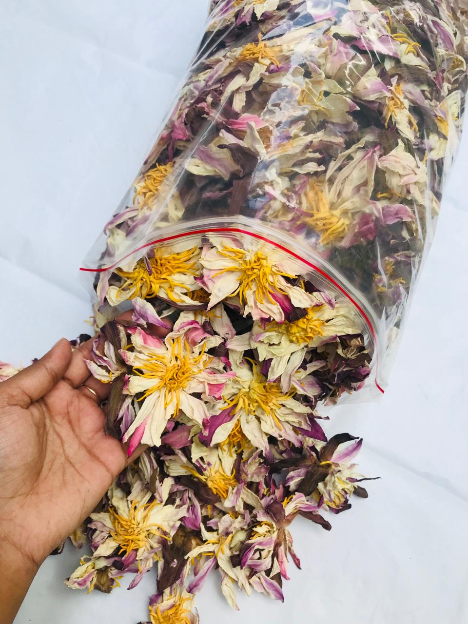 White Lotus Nymphaea Ampla Dried Flowers 100% Organic Natural | Ceylon Herbs
