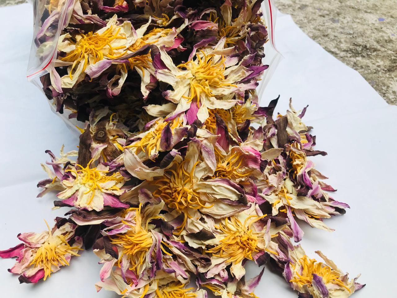 White Lotus Nymphaea Ampla Dried Flowers 100% Organic Natural | Ceylon Herbs